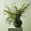 Jotun 7386 Pistachio - Jotun Lady Pure Color