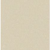 Carma Sauvage 2