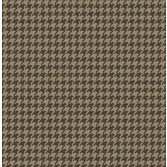 Carma Sauvage 2