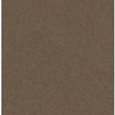 Carma Sauvage 2