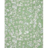 Manuel Canovas Haru Matcha
