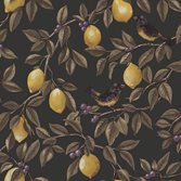 Intrade Ponderosa Charcoal