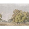 Boråstapeter Studio Hedgerow Landscape
