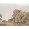 Boråstapeter Studio Hedgerow Landscape tapet
