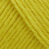 251 Electric Yellow NY!