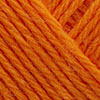 365 Calendula NY!
