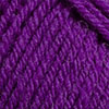 307095 Ursula Purple