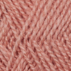 4087 Gammelrosa