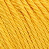 0208 Canary