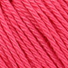 0256 Raspberry