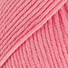 29 Pink Panther