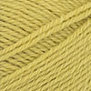 9825 Sunny Lime