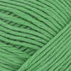 8236 Jelly Bean Green
