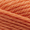 254 Coral