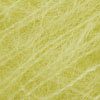 255 Limelight