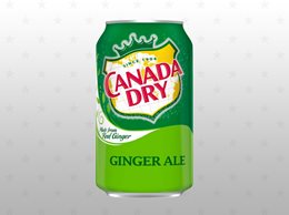 Canada Dry Ginger Ale Förp/24st