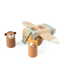 Sebra flygplan i trä, wildlife