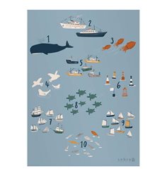 Sebra poster, seven seas
