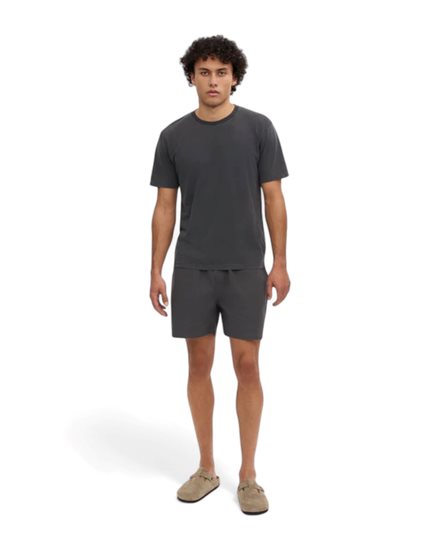 Colorful Standard Classic Organic T-Shirt Faded Black