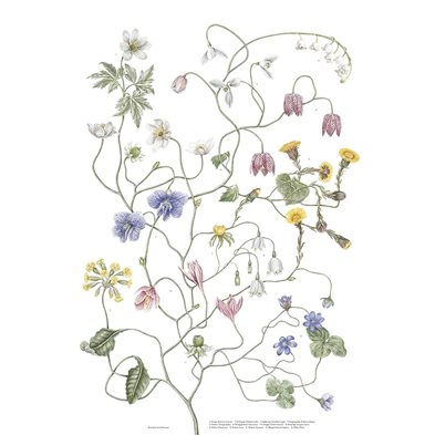 Poster Spring Tree