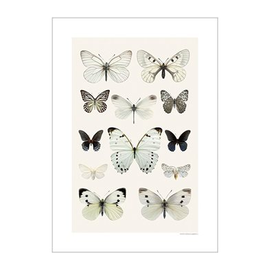 Liljebergs Print Butterfly Collage