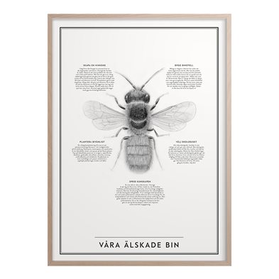 Poster Våra Älskade Bin