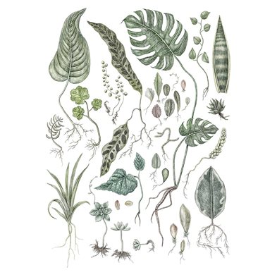 Affisch Cuttings