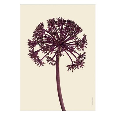Liljebergs Print Giant Angelica