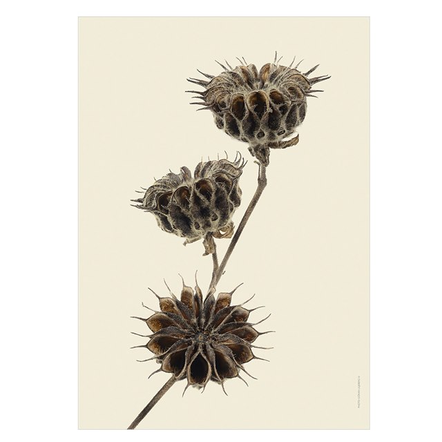 Liljebergs Print Velvet leaf