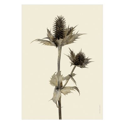 Liljebergs Print Silvermartorn