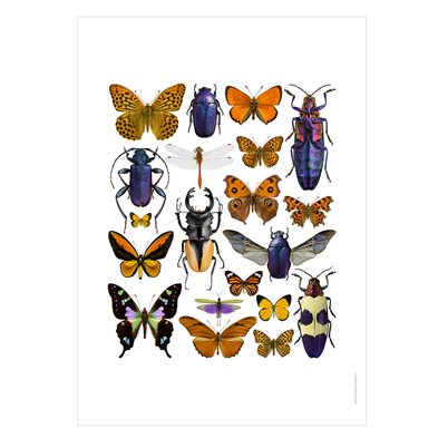 Liljebergs Print Skalbaggskollage lila & orange