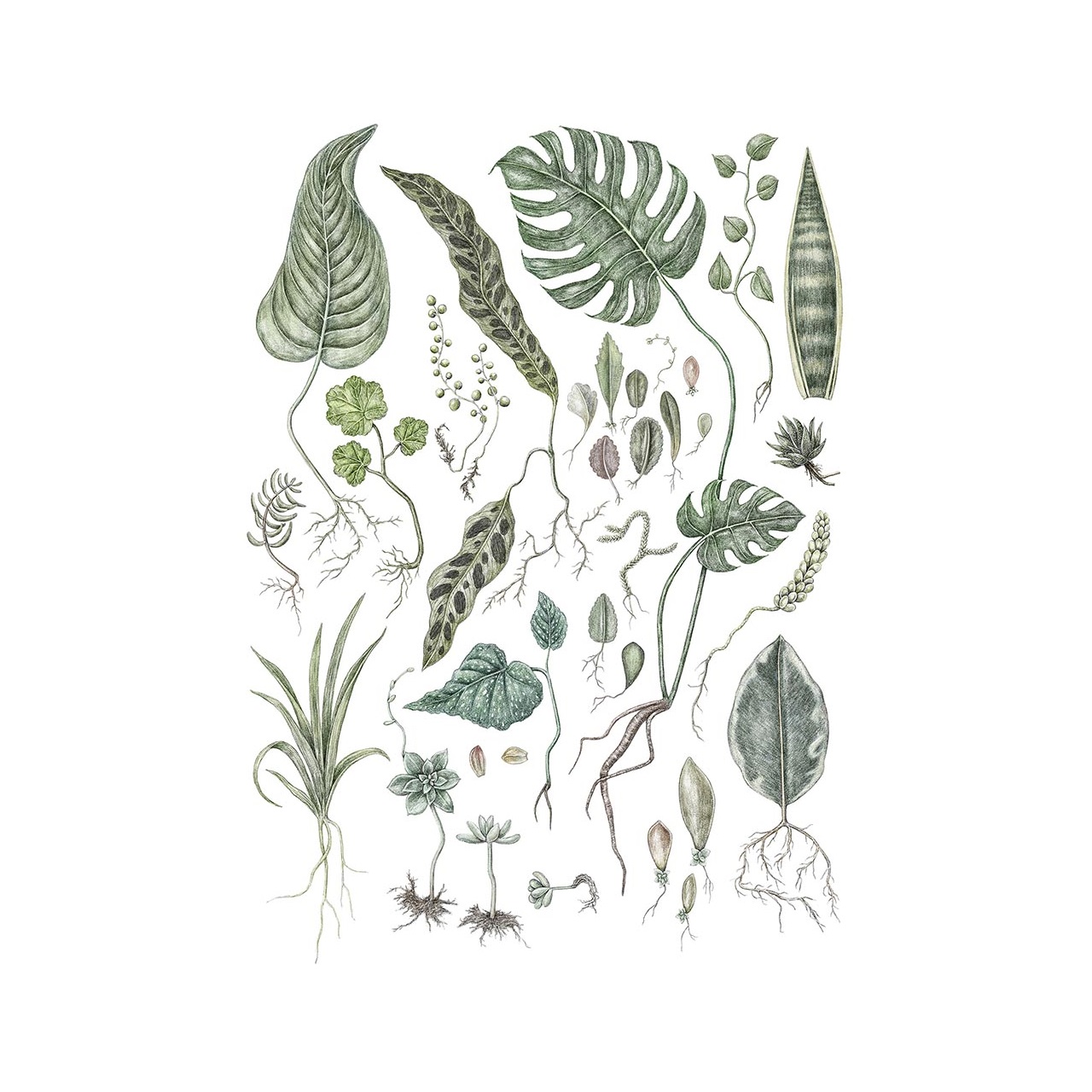 Poster Cuttings