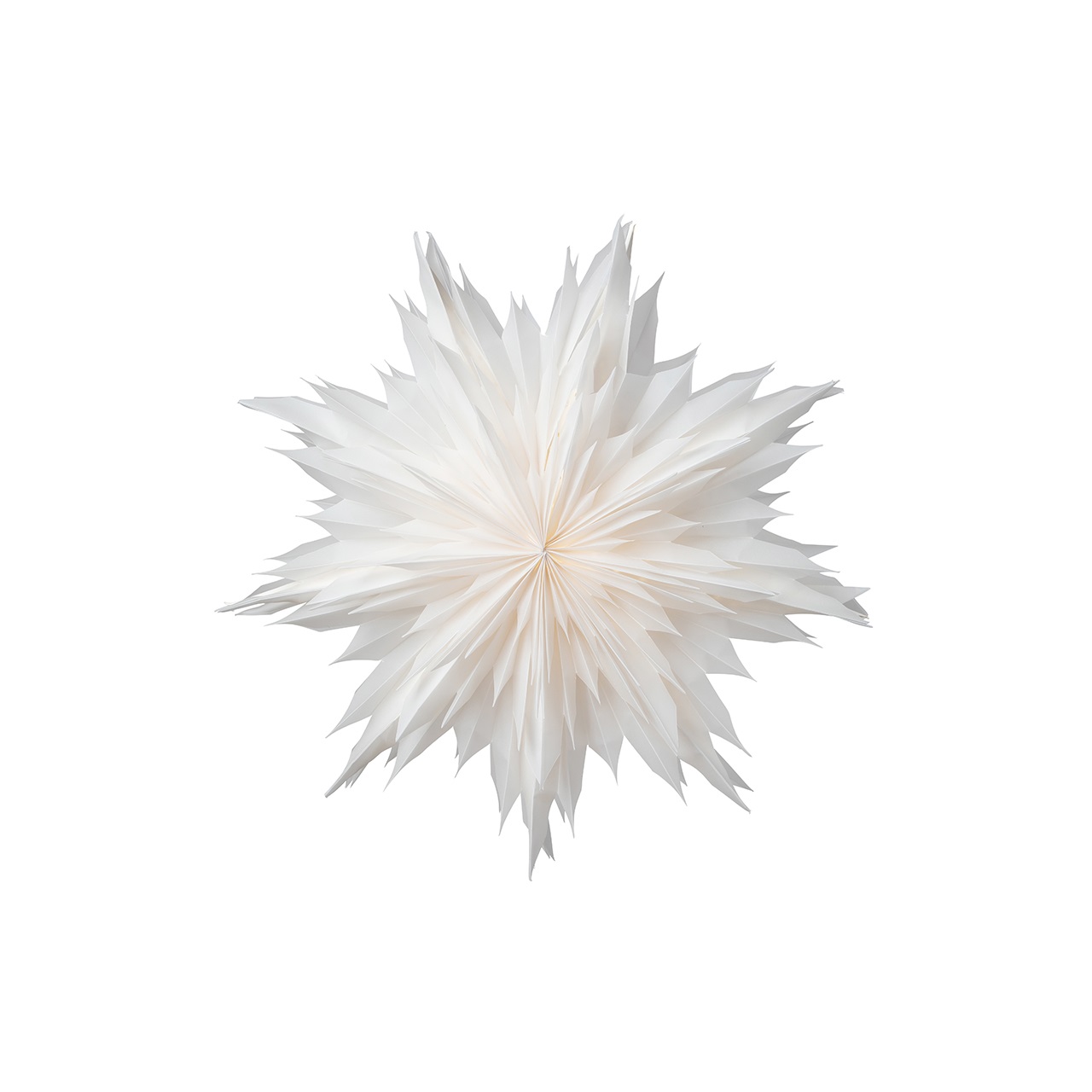 Star Oslo
