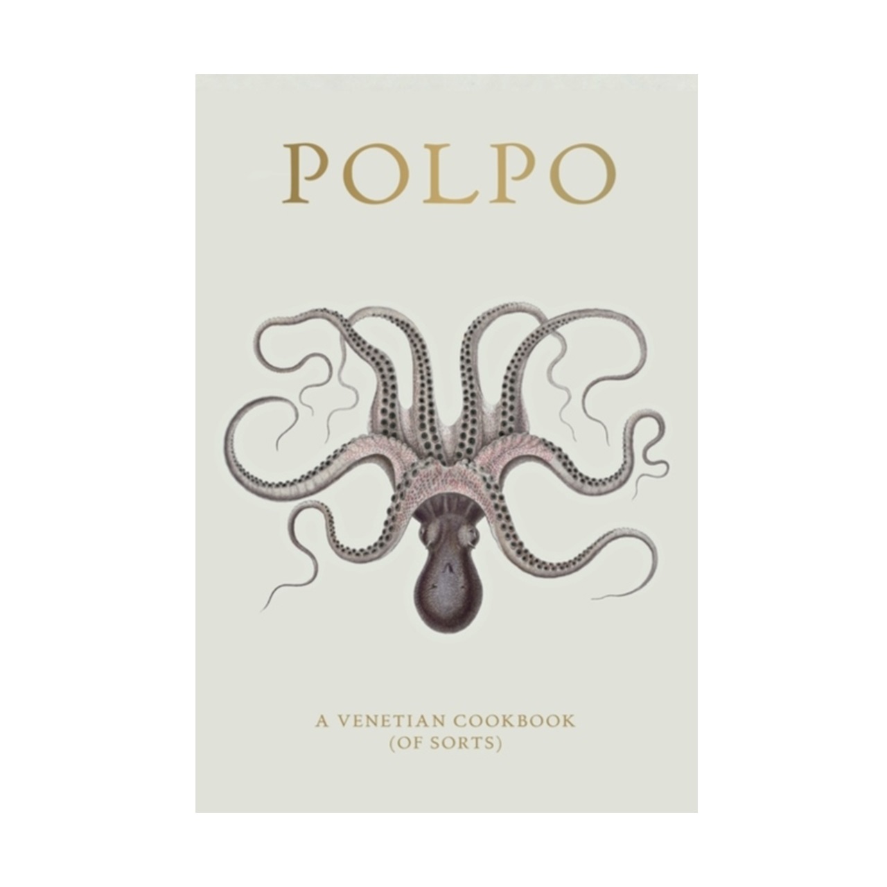 Polpo