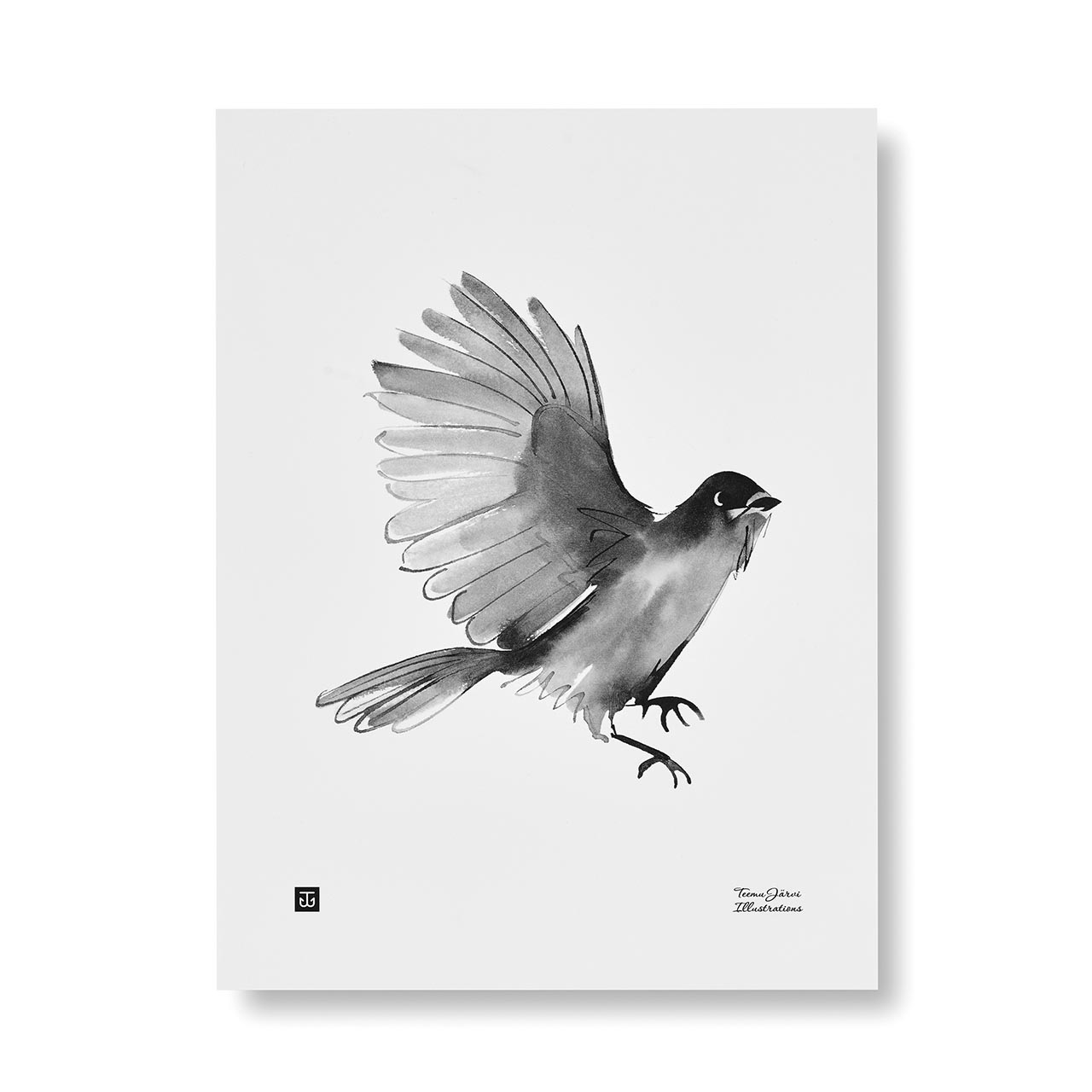 Poster Siberian Jay