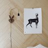 Poster Roe Deer
