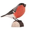 Bullfinch