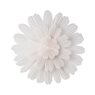 Star Snöblomma