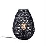 Table Lamp Buster