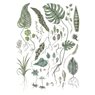 Poster Cuttings