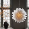 Star Snöblomma