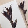 Liljebergs Print Iris