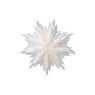 Star Oslo