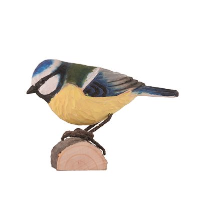 Blue Tit