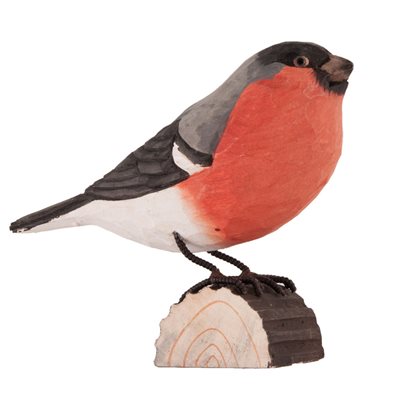 Bullfinch
