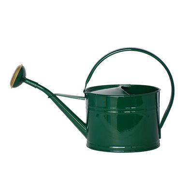 Vattenkanna 1,7 L