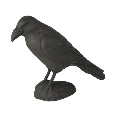 Raven