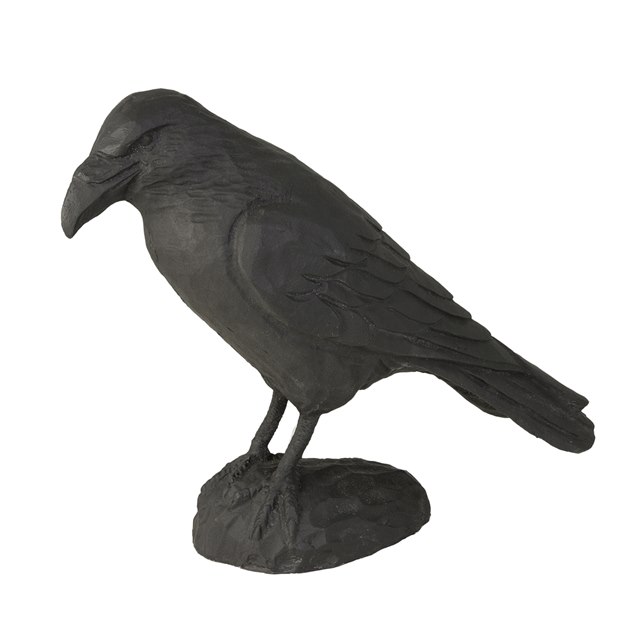 Raven