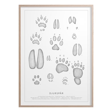 Poster Djurspår