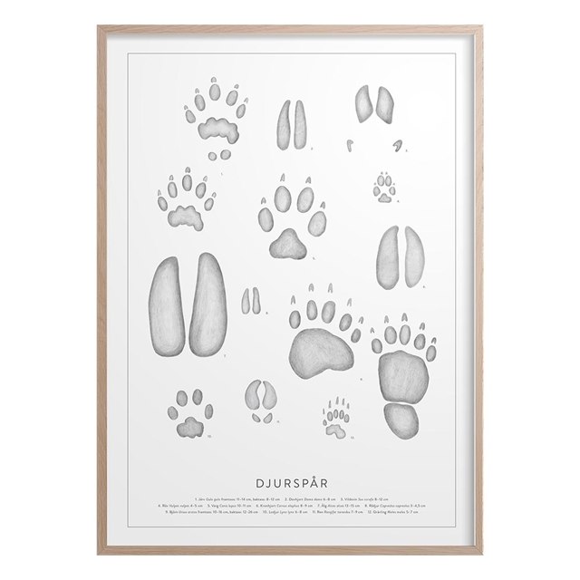 Poster Djurspår